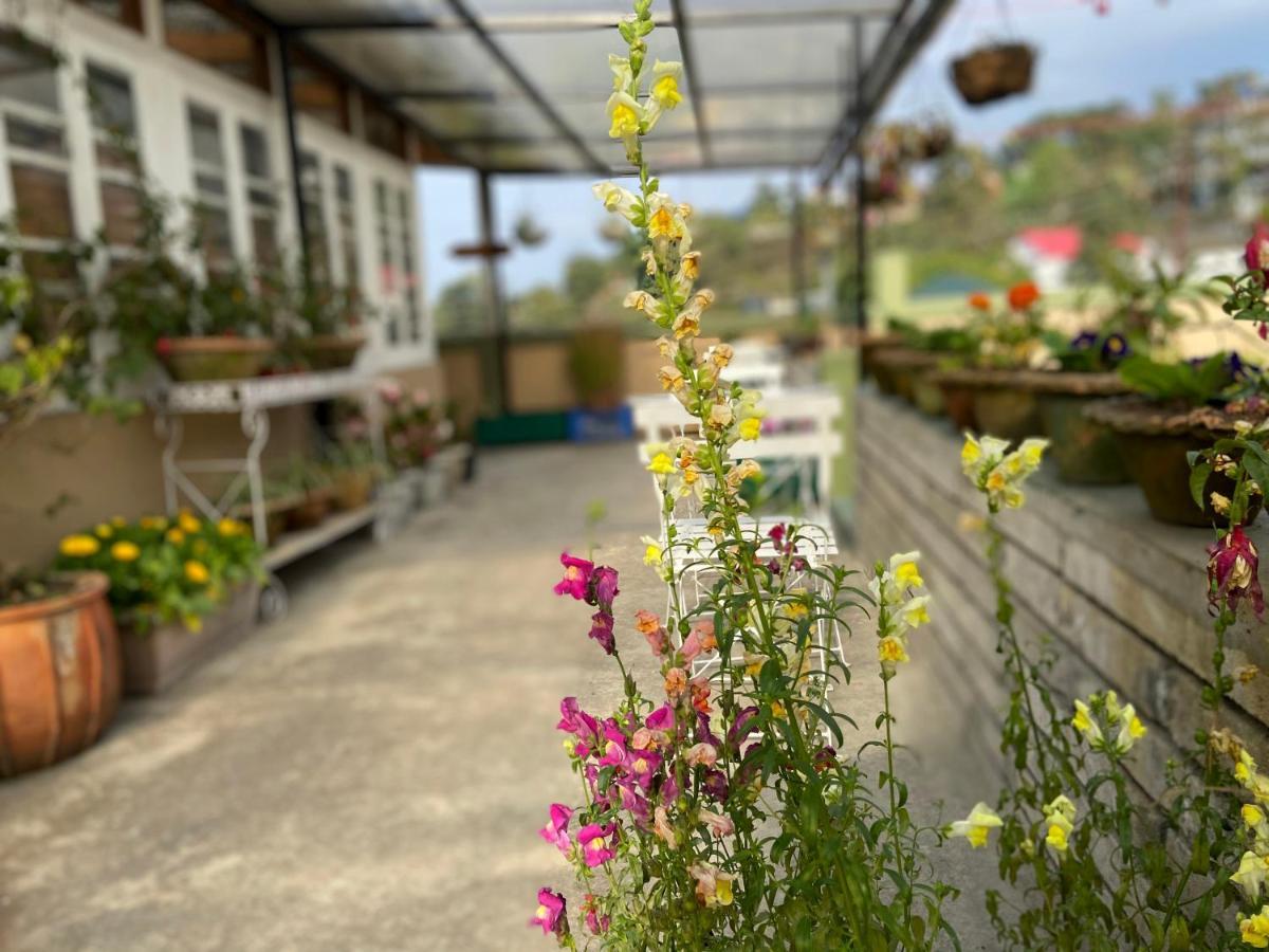 The Homestead B&B 실롱 외부 사진
